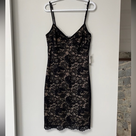 Wilfred Juliette Bustier Lace Dress (Aritzia) - Picture 2 of 5